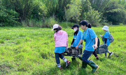 7 cơ quan được phép tiếp nhận động, thực vật quý hiếm