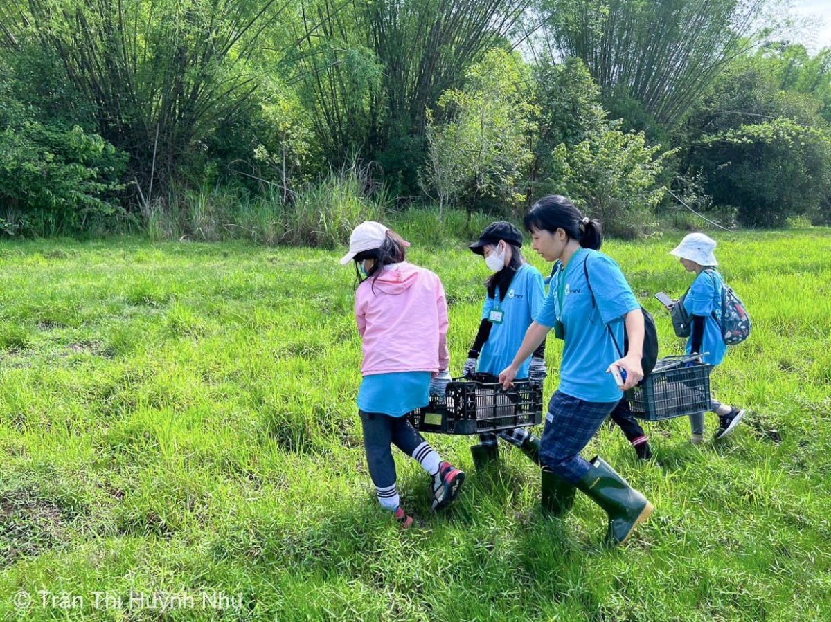 Tiếp nhận và thả động vật hoang dã về với tự nhiên.