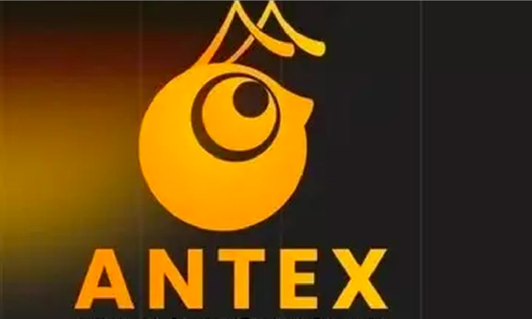 Từ tháng 8/2021 đến 11/2021, nhóm phát hành dự án AntEx và bán 33,2 tỷ token cho khoảng 30.000 nhà đầu tư - Ảnh minh họa.