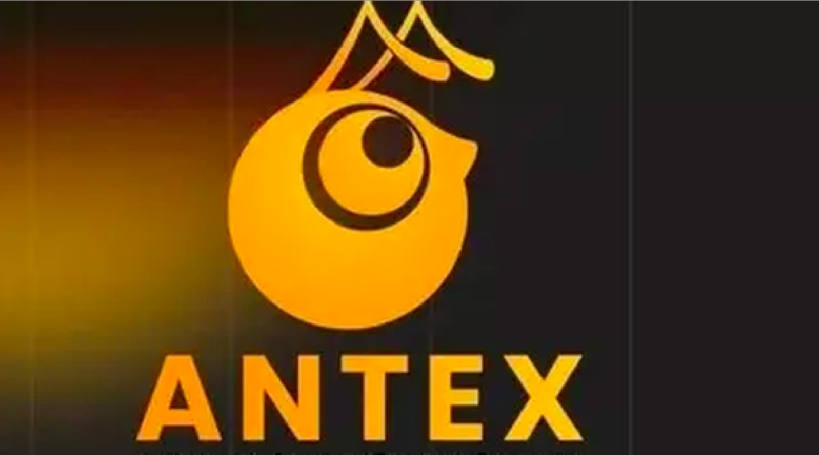 Từ tháng 8/2021 đến 11/2021, nhóm phát hành dự án AntEx và bán 33,2 tỷ token cho khoảng 30.000 nhà đầu tư - Ảnh minh họa.