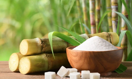 Giá bán đường tại Việt Nam vẫn thấp hơn so với các nước trong khu vực.
