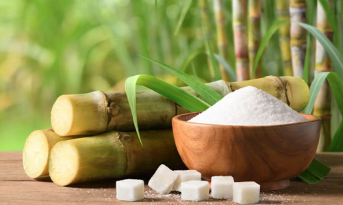 Thị trường đường thừa nguồn cung, giá bán dưới giá thành sản xuất