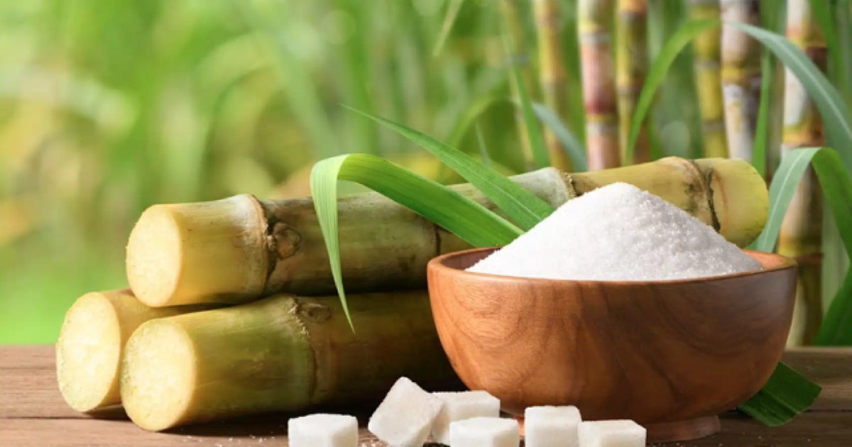 Thị trường đường thừa nguồn cung, giá bán dưới giá thành sản xuất