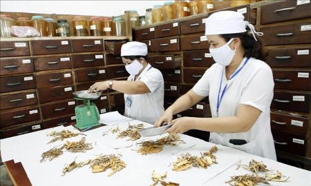 Đưa y học cổ truyền đến gần hơn với người dân
