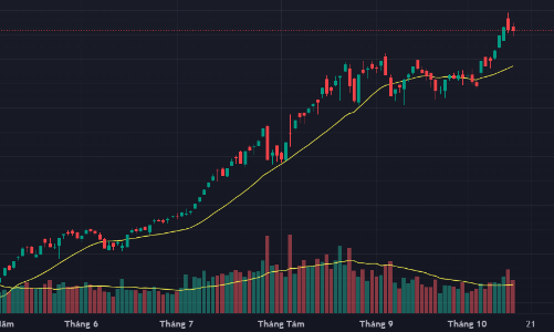 Dòng tiền bắt đáy dè dặt, thanh khoản giảm mạnh