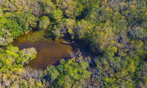 Rừng xanh nuôi dưỡng sinh kế bền vững 