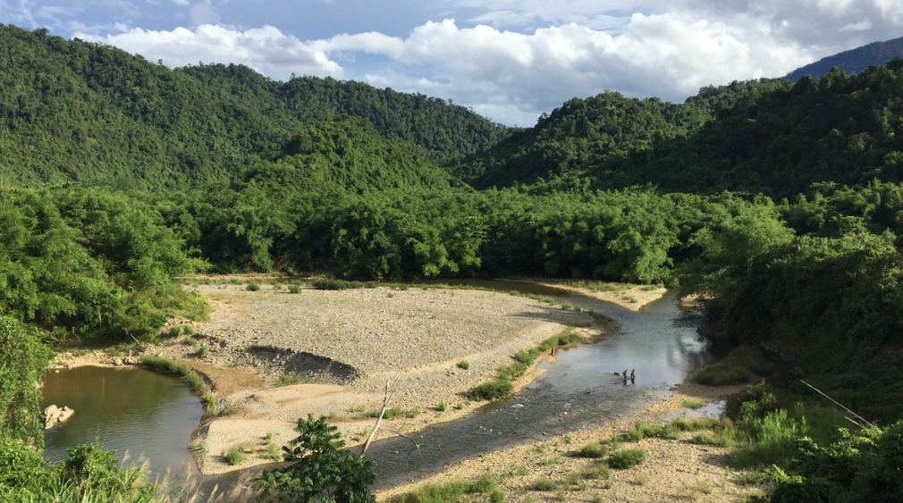 Một góc rừng nguyên sinh ở A Lưới. Ảnh: Trí Dũng