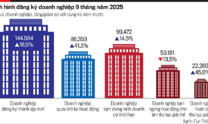 Tình hình đăng ký doanh nghiệp 9 tháng năm 2025: Làn sóng khởi nghiệp và những khó khăn doanh nghiệp phải đối mặt