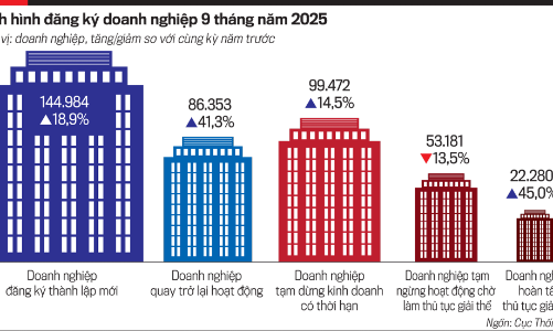 Tình hình đăng ký doanh nghiệp 9 tháng năm 2025: Làn sóng khởi nghiệp và những khó khăn doanh nghiệp phải đối mặt