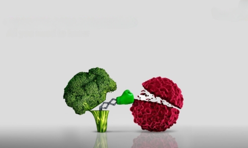 Ung thư chuyển dịch sang nhóm liên quan đến lối sống và tuổi thọ