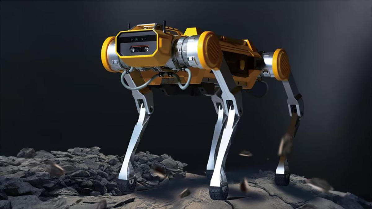 Robot Apollo của Mirror Me.