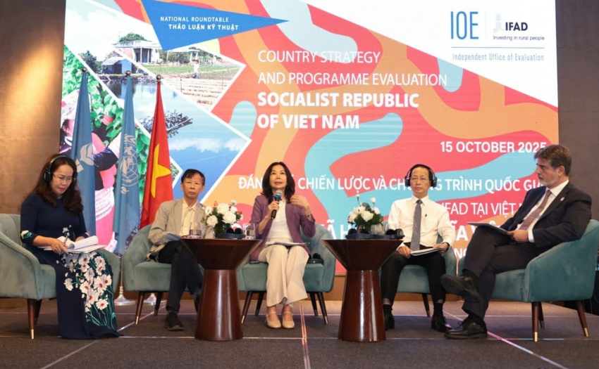 Buổi thảo luận diễn ra trong Hội nghị Quốc gia đánh giá Chiến lược và Chương trình Quốc gia (CSPE)