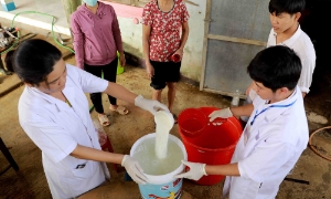 Cục Phòng bệnh (Bộ Y tế) hướng dẫn người dân các biện pháp làm sạch nước để sử dụng sau mưa lũ
