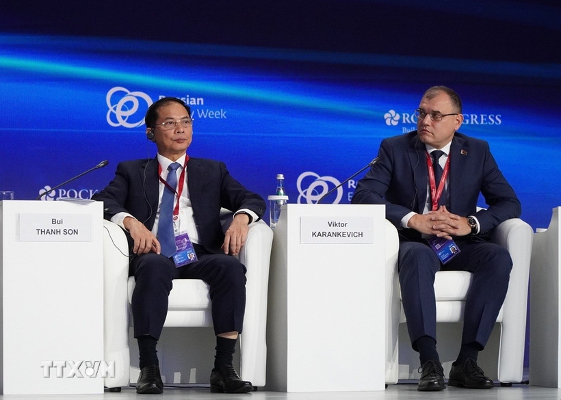 Phó Thủ tướng Bùi Thanh Sơn (bên trái) tại phiên thảo luận. Ảnh: TTXVN.