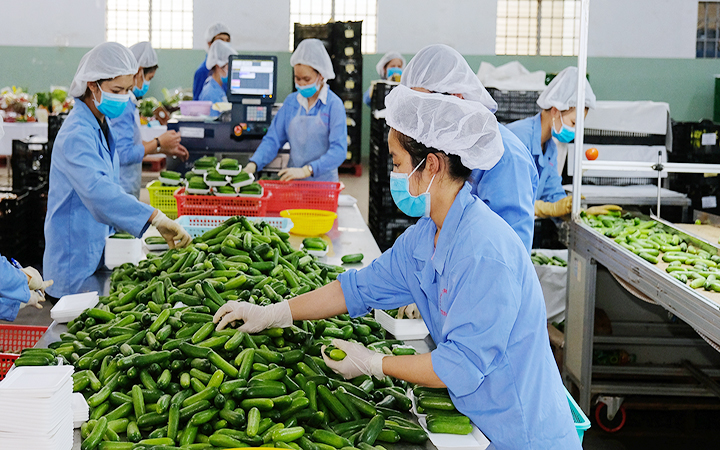Những xu hướng và quy định mới tại thị trường xuất khẩu, buộc doanh nghiệp phải thay đổi theo hướng xanh.