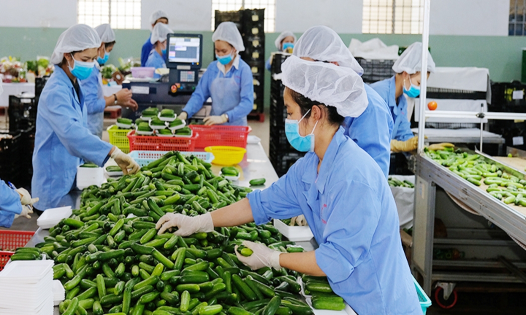 Những xu hướng và quy định mới tại thị trường xuất khẩu, buộc doanh nghiệp phải thay đổi theo hướng xanh.