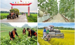 Ngày Vì người nghèo 17-10: Giảm nghèo bền vững - Từ thành tựu đến định hướng tương lai