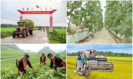 Ngày Vì người nghèo 17-10: Giảm nghèo bền vững - Từ thành tựu đến định hướng tương lai