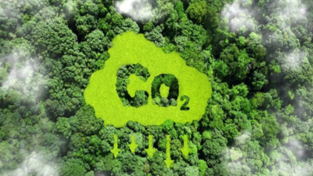 To unlock all potentials of carbon market