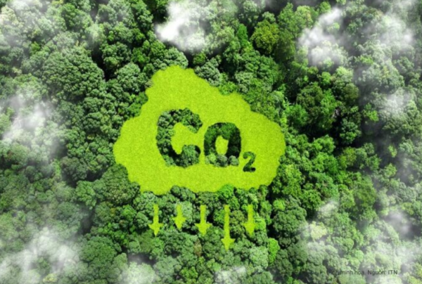To unlock all potentials of carbon market