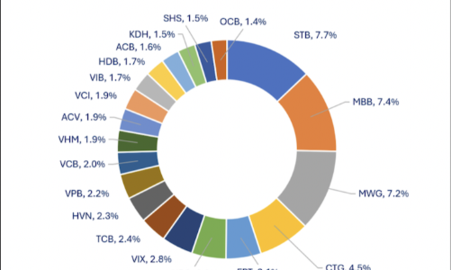 Vì sao hiệu suất 17 quỹ mở thua xa VN-Index? 