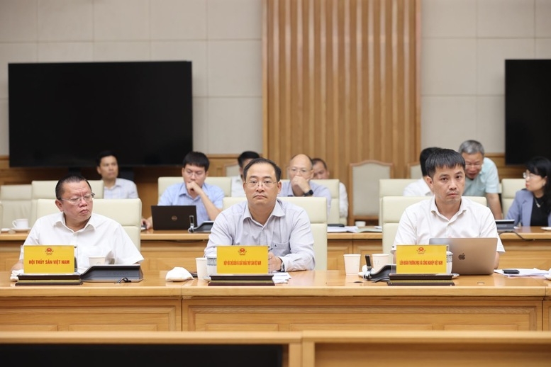 Các đại biểu tham dự cuộc họp - Ảnh: VGP