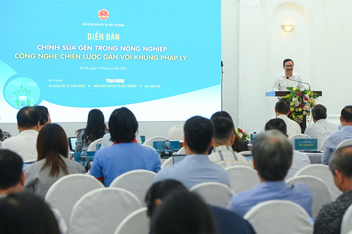 Quang cảnh Diễn đàn.