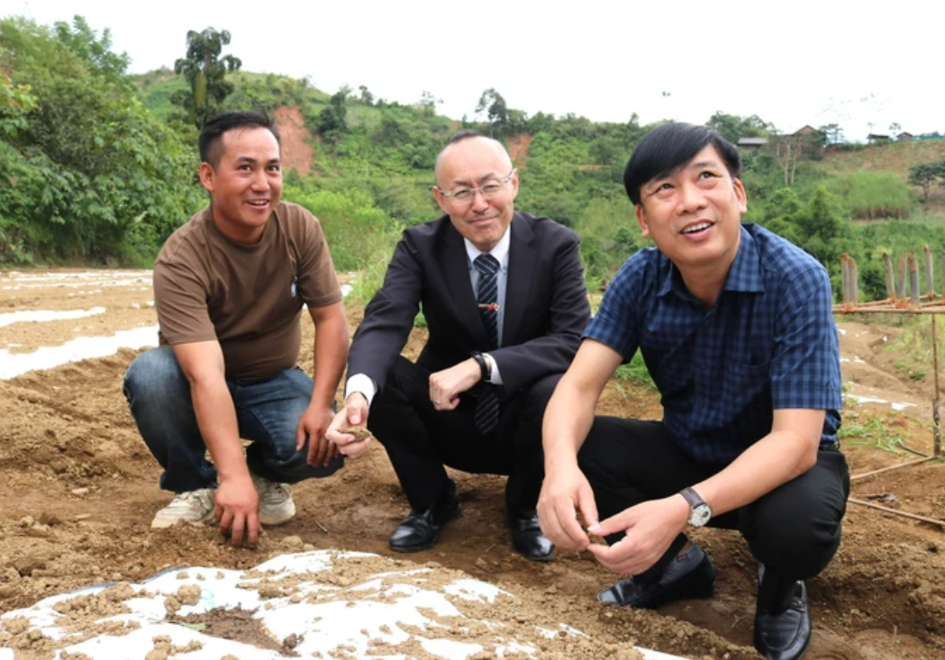 Theo đại diện Sở Nông nghiệp và Môi trường Nghệ An, kết quả thử nghiệm cho thấy tỏi Sanuki rất phù hợp với điều kiện đất đai, khí hậu của Na Ngoi, có thể trở thành cây trồng chủ lực mang lại giá trị kinh tế cao trong thời gian tới.