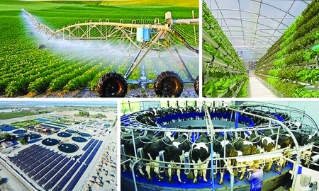 “Chìa khóa” để hiện thực hóa mục tiêu chuyển đổi xanh và phát triển bền vững