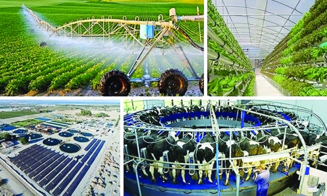“Chìa khóa” để hiện thực hóa mục tiêu chuyển đổi xanh và phát triển bền vững