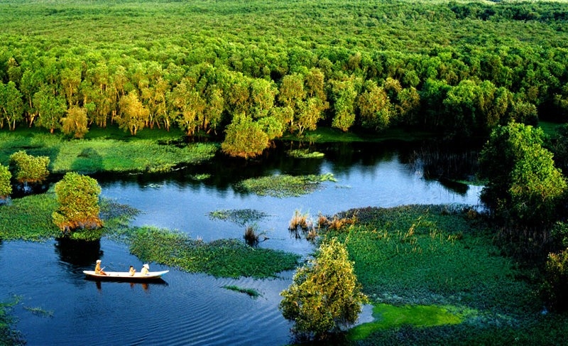 Hệ sinh thái tại rừng tràm Trà Sư (An Giang) - Ảnh minh họa.