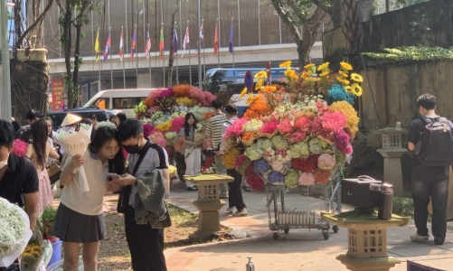 Dịp lễ 20/10: “Quà tặng xanh” lên ngôi