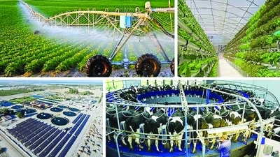 Vietnam’s carbon market strategy
