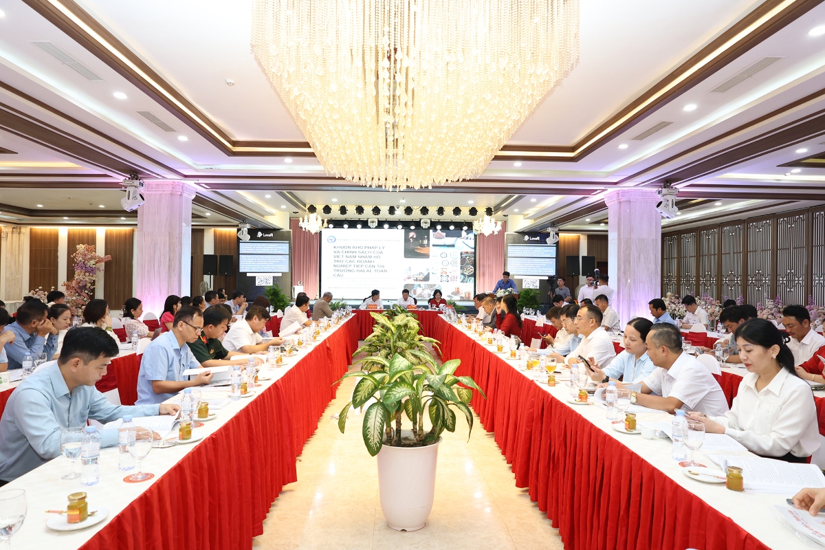 Toàn cảnh hội thảo