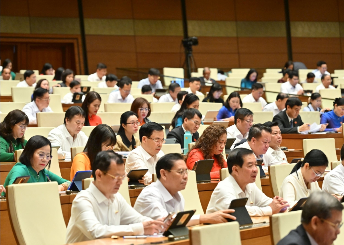 Các đại biểu dự phiên họp. Ảnh: ĐBND