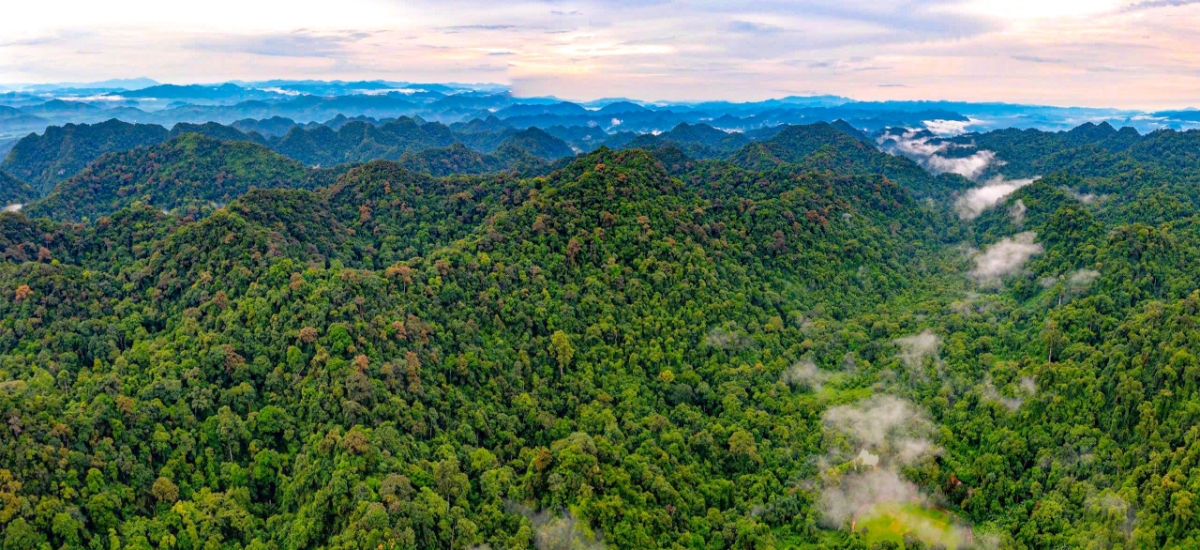 Vườn quốc gia Cúc Phương