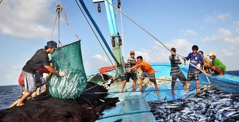 Vietnam to launch month-long campaign to combat IUU fishing