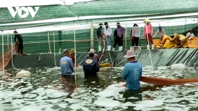 Vinh Long to develop $1.5 bln/y fisheries economic zone