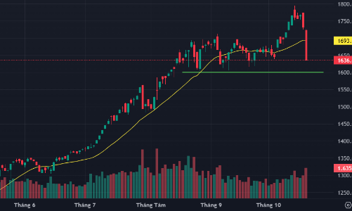 Thị trường chìm trong hoảng loạn, 1 phiên giảm bằng cả tháng tăng