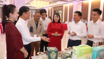 Nghe An boosts Halal market access for long-term export growth