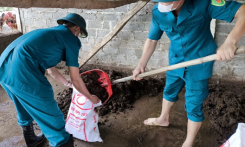 Nhiều hợp tác xã tại Thái Nguyên xốc lại sản xuất sau bão lũ lịch sử