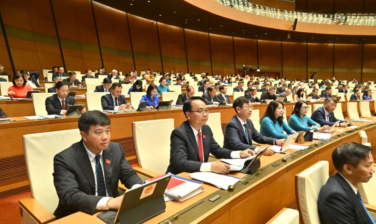 Các đại biểu dự phiên họp. Ảnh: ĐBND