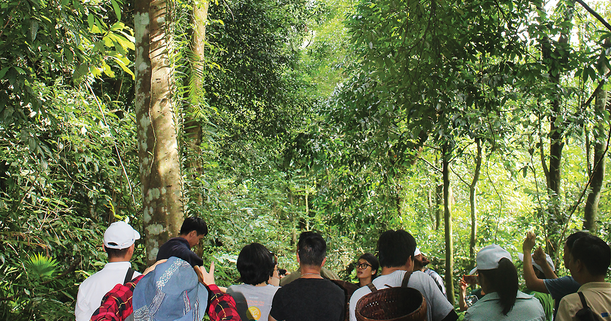 Hồi sinh rừng già, gieo hạt nhận thức xanh