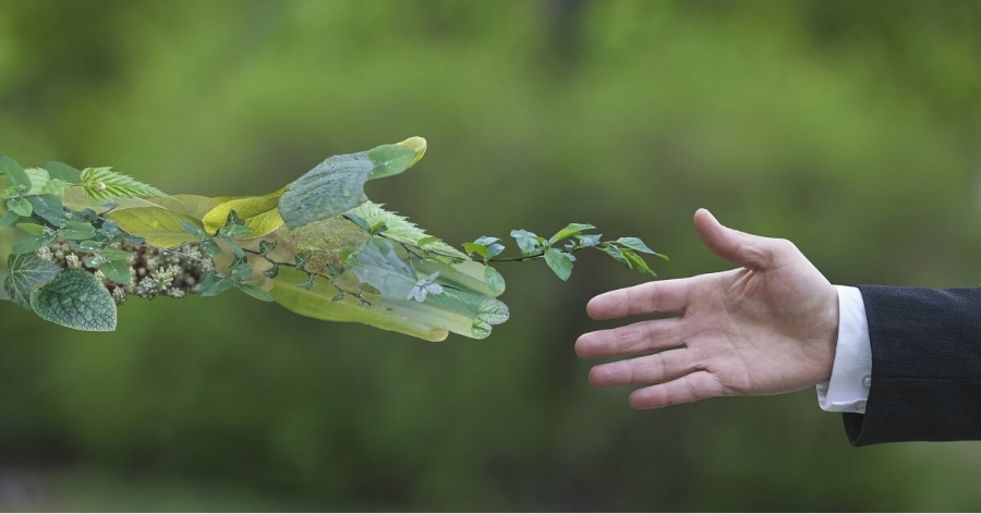 Nhận diện những thách thức trong chuyển đổi xanh.
