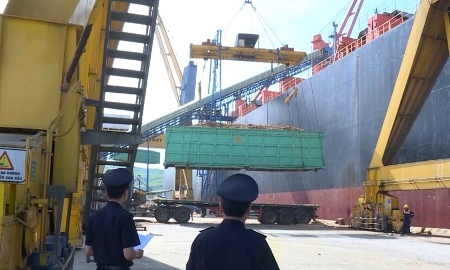 Xuất khẩu của Thanh Hóa đạt gần 5,9 tỷ USD sau 10 tháng