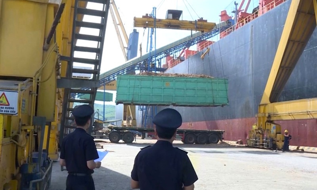 Hoạt động xếp dỡ hàng hóa xuất khẩu tại Cảng Nghi Sơn, Thanh Hóa.
