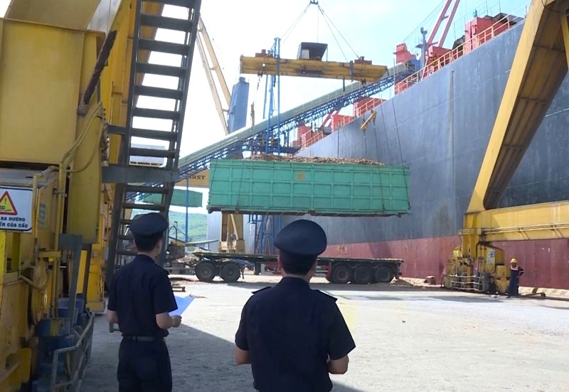 Hoạt động xếp dỡ hàng hóa xuất khẩu tại Cảng Nghi Sơn, Thanh Hóa.