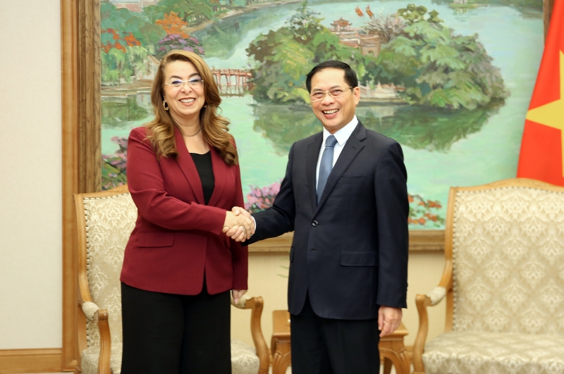  Cooperation between Vietnam and UNODC in crime prevention strengthened