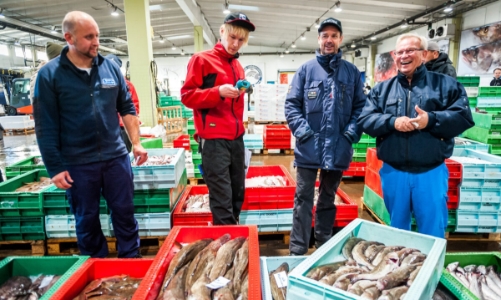 Đa số doanh nghiệp Việt chưa biết quy định về thẩm định chuỗi cung ứng của EU