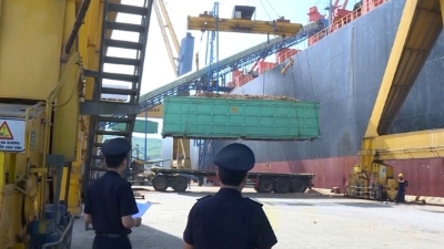 Thanh Hoa's exports reach nearrly $5.9 bln in 10 months